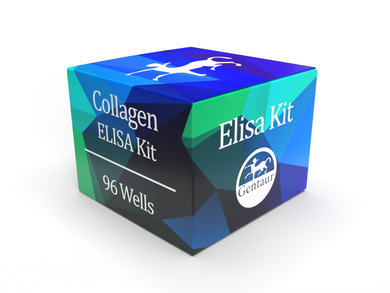 Collagen Elisa