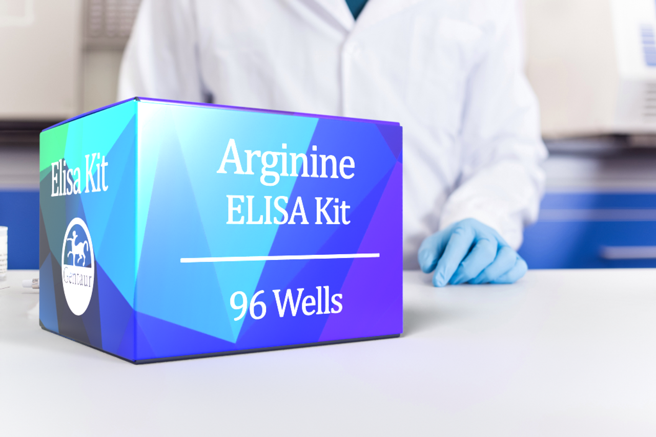 Arginine Elisa