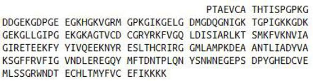 Human Recombinant Collectin Liver 1 (CLL1)