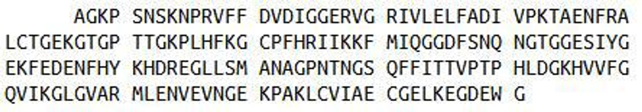 Rat Recombinant Cyclophilin D (CYPD)