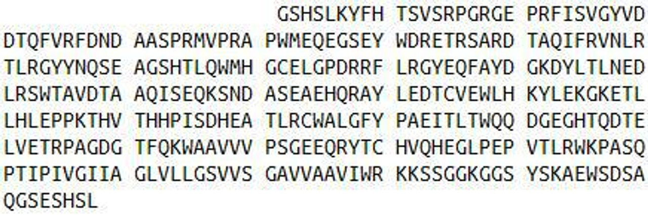 Human Recombinant Major Histocompatibility Complex Class I E (MHCE)