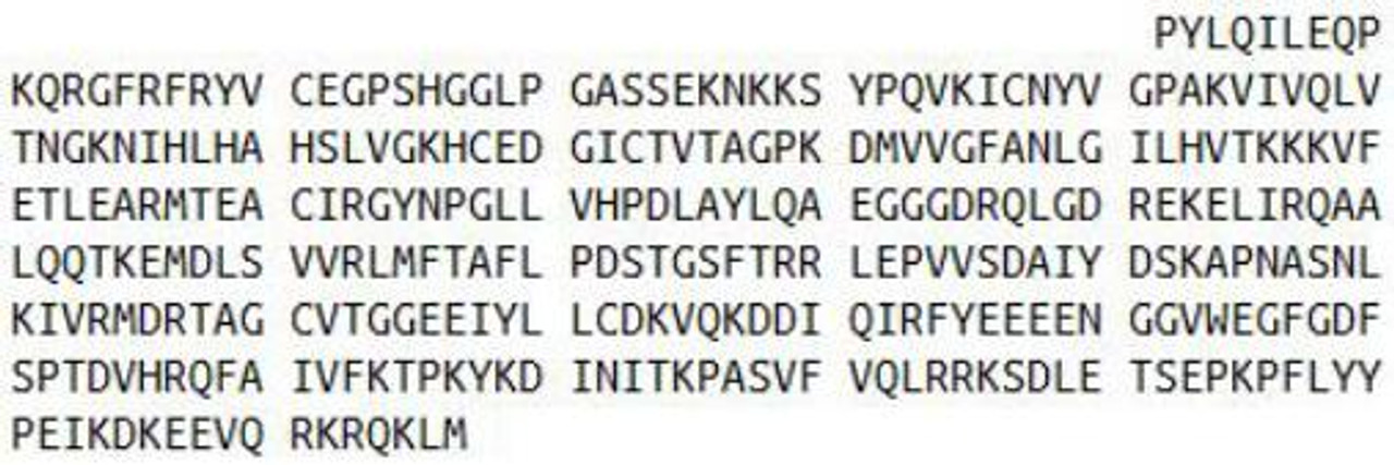 Human Recombinant Nuclear Factor Kappa B (NFkB)