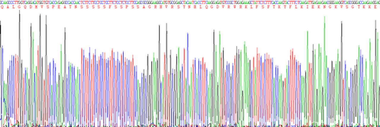 Human Eukaryotic Fibroblast Growth Factor 10 (FGF10)