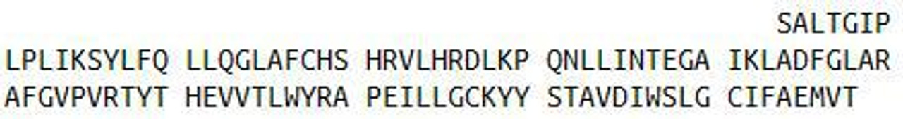 Human Recombinant Cyclin Dependent Kinase 2 (CDK2)