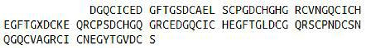 Rat Recombinant Tenascin C (TNC)