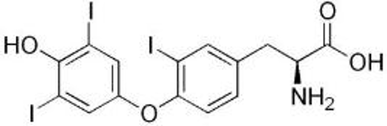 OVA Conjugated Reverse Triiodothyronine (rT3)