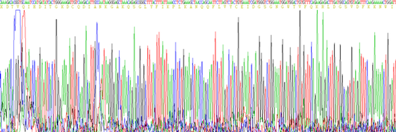 Human Eukaryotic Fibrinogen Gamma (FGg)