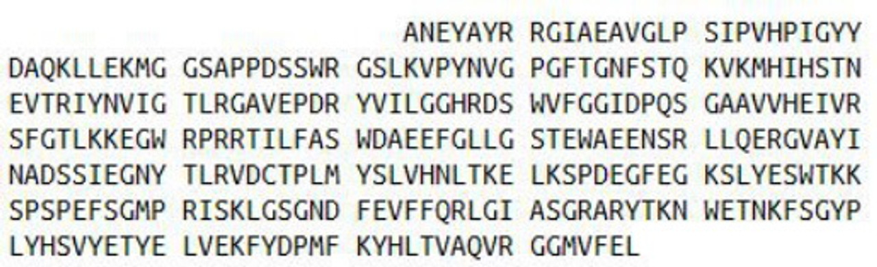 Human Recombinant Glutamate Carboxypeptidase II (GCPII)