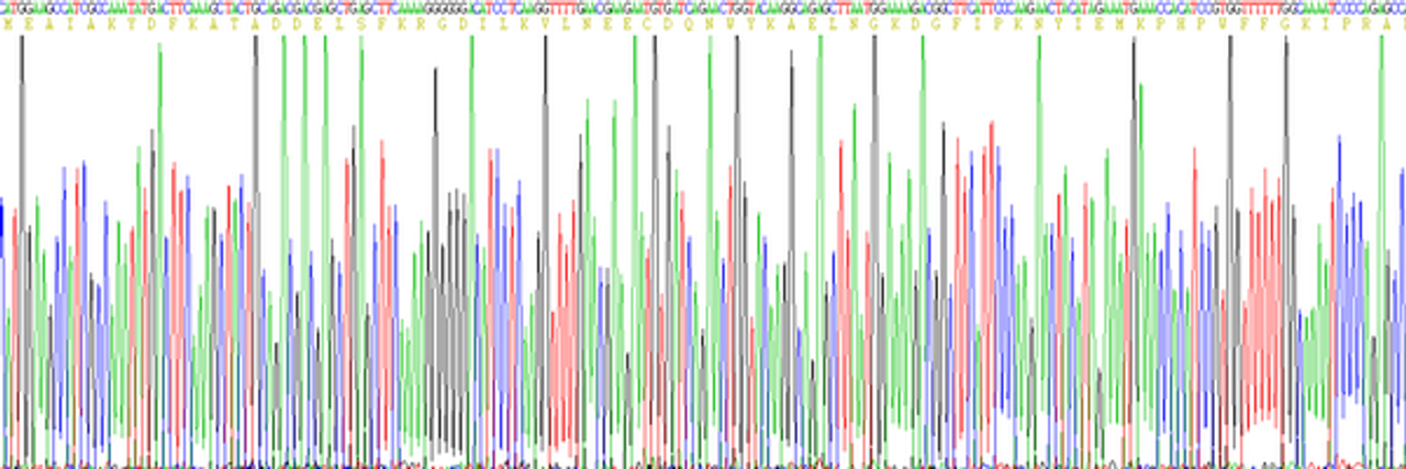 Human Eukaryotic Growth Factor Receptor Bound Protein 2 (Grb2)