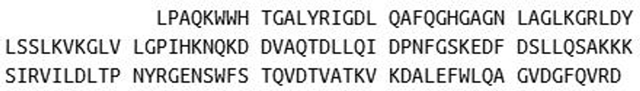 Human Recombinant Solute Carrier Family 3, Member 2 (SLC3A2)