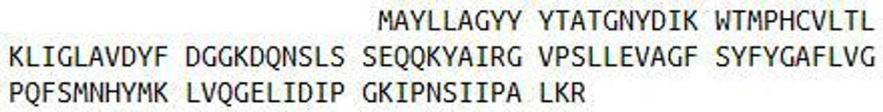 Human Recombinant Lysophosphatidylcholine Acyltransferase 3 (LPCAT3)