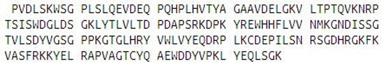 Human Recombinant Phosphatidylethanolamine Binding Protein 1 (PEBP1)