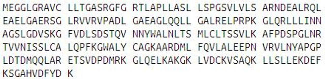 Human Recombinant Sepiapterin Reductase (SPR)