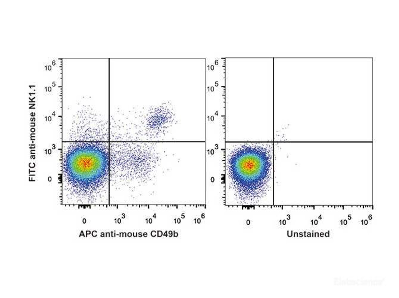 C57BL/6 murine splenocytes are stained with FITC Anti-Mouse CD161/NK1.1 Antibody and APC Anti-Mouse CD49b Antibody(Left). Unstained splenocytes are used as control(Right).