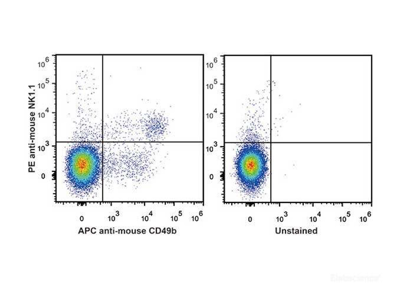 C57BL/6 murine splenocytes are stained with PE Anti-Mouse CD161/NK1.1 Antibody and APC Anti-Mouse CD49b Antibody(Left). Unstained splenocytes are used as control(Right).