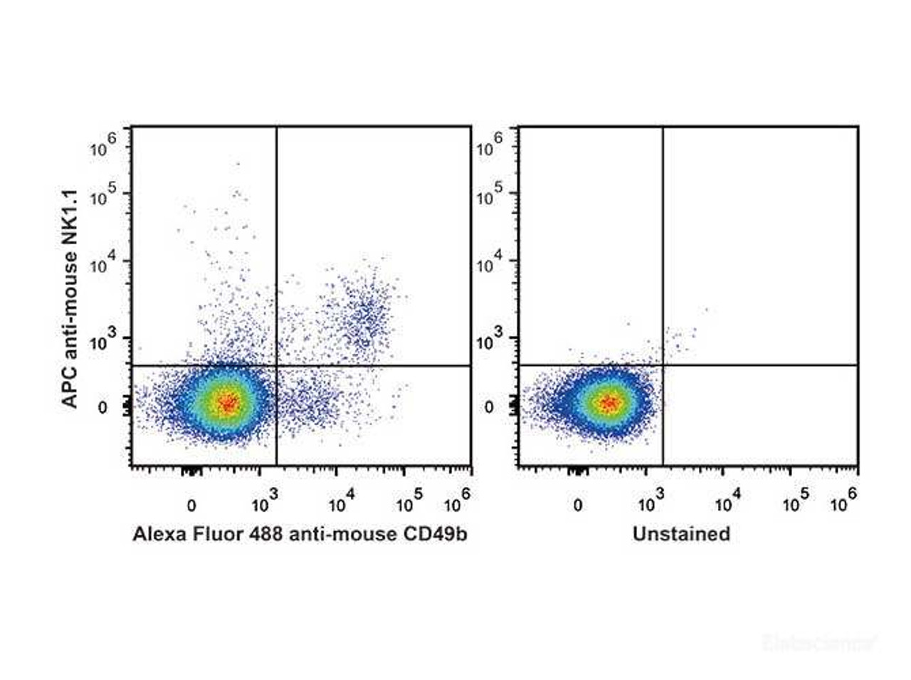 C57BL/6 murine splenocytes are stained with APC Anti-Mouse CD161/NK1.1 Antibody and AF488 Anti-Mouse CD49b Antibody(Left). Unstained splenocytes are used as control(Right).
