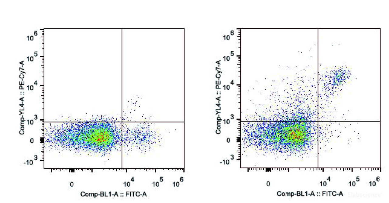 C57BL/6 murine splenocytes are stained with PE/Cyanine7 Anti-Mouse CD161/NK1.1 Antibody and FITC Anti-Mouse CD49b Antibody(Right). Splenocytes stained with FITC Anti-Mouse CD49b Antibody(Left) are used as control.