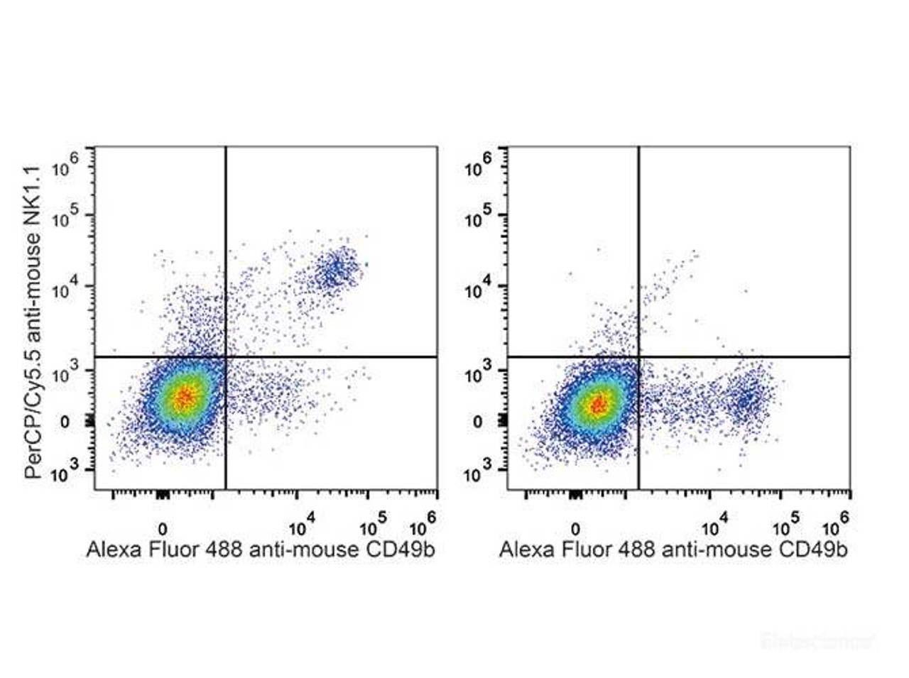 C57BL/6 murine splenocytes are stained with PerCP/Cyanine5.5 Anti-Mouse CD161/NK1.1 Antibody and AF488 Anti-Mouse CD49b Antibody (Left). Splenocytes stained with AF488 Anti-Mouse CD49b Antibody(Right) are used as control.