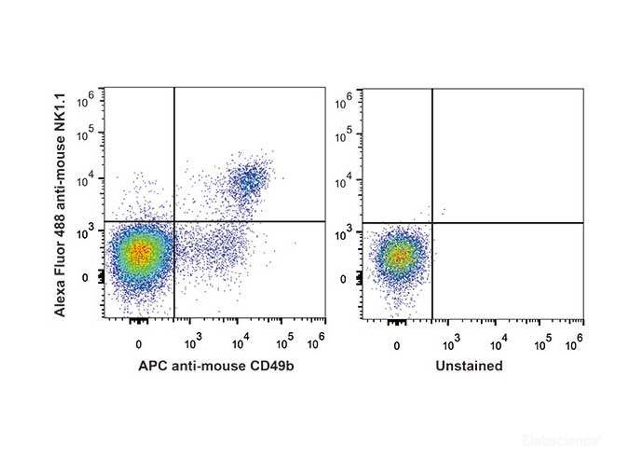 C57BL/6 murine splenocytes are stained with AF488 Anti-Mouse CD161/NK1.1 Antibody and APC Anti-Mouse CD49b Antibody(Left). Unstained splenocytes are used as control(Right).