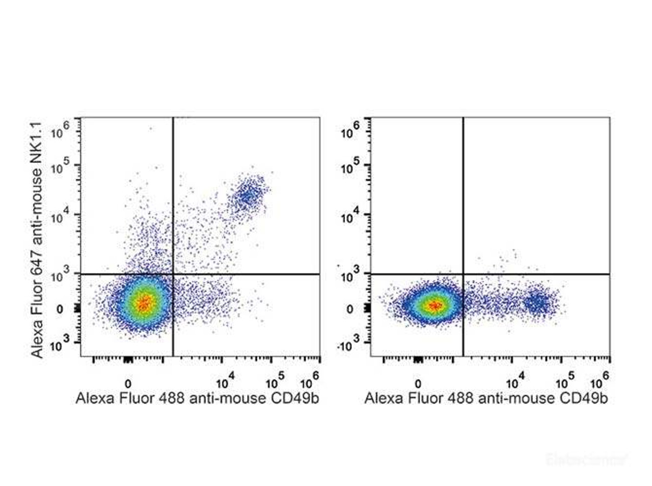 C57BL/6 murine splenocytes are stained with AF646 Anti-Mouse CD161/NK1.1 Antibody[Used at .2 μg/1<sup>6</sup> cells dilution] and AF488 Anti-Mouse CD49b Antibody. Splenocytes stained with AF488 Anti-Mouse CD49b Antibody(Right) are used as control.