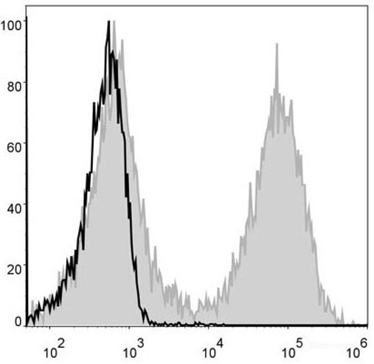 Mouse splenocytes are stained with FITC Anti-Mouse MHC II (I-A/I-E) Antibody(filled gray histogram). Unstained splenocytes (blank black histogram) are used as control.