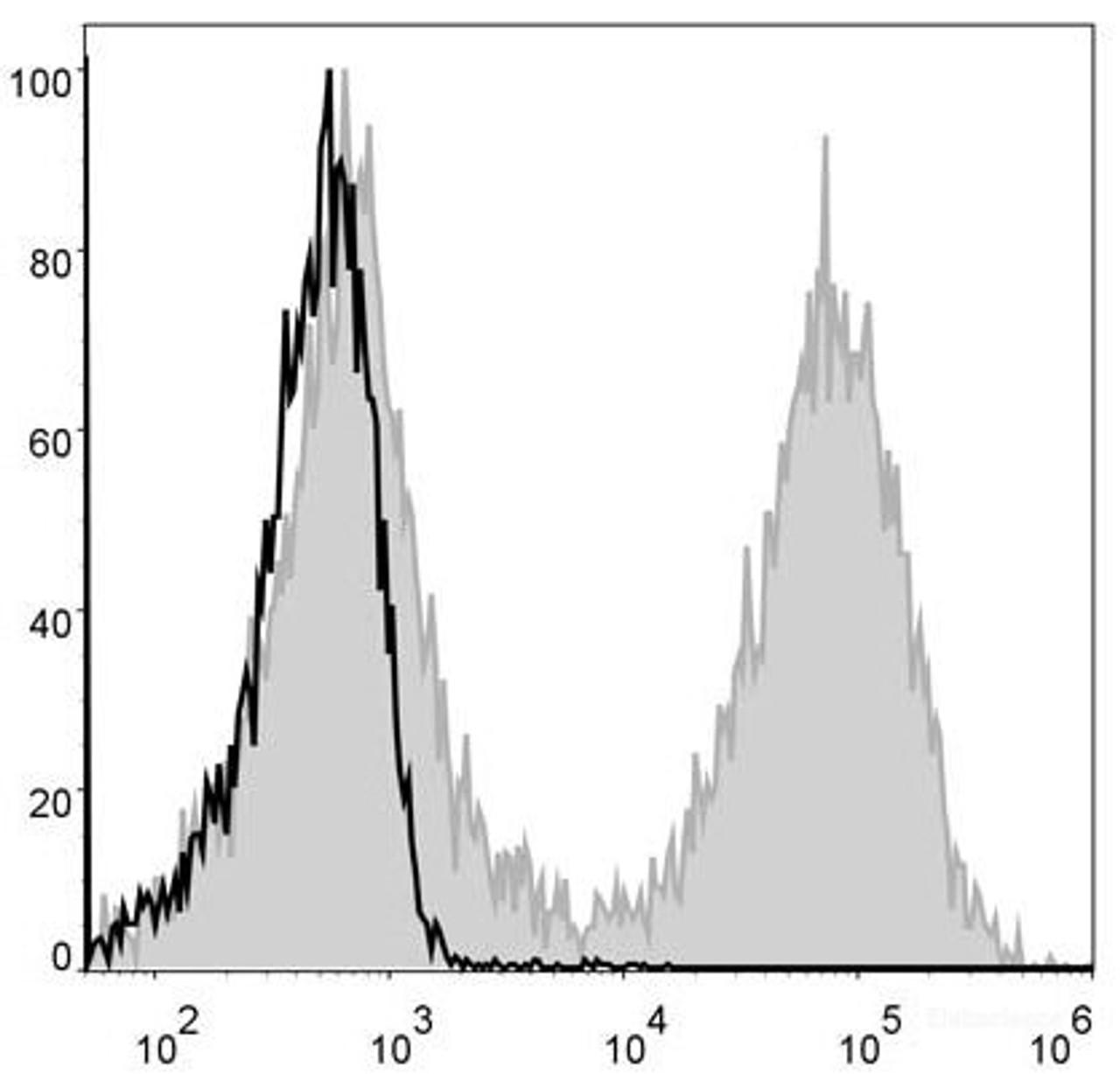 Mouse splenocytes are stained with FITC Anti-Mouse MHC II (I-A/I-E) Antibody[Used at .2 μg/1<sup>6</sup> cells dilution](filled gray histogram). Unstained splenocytes (blank black histogram) are used as control.