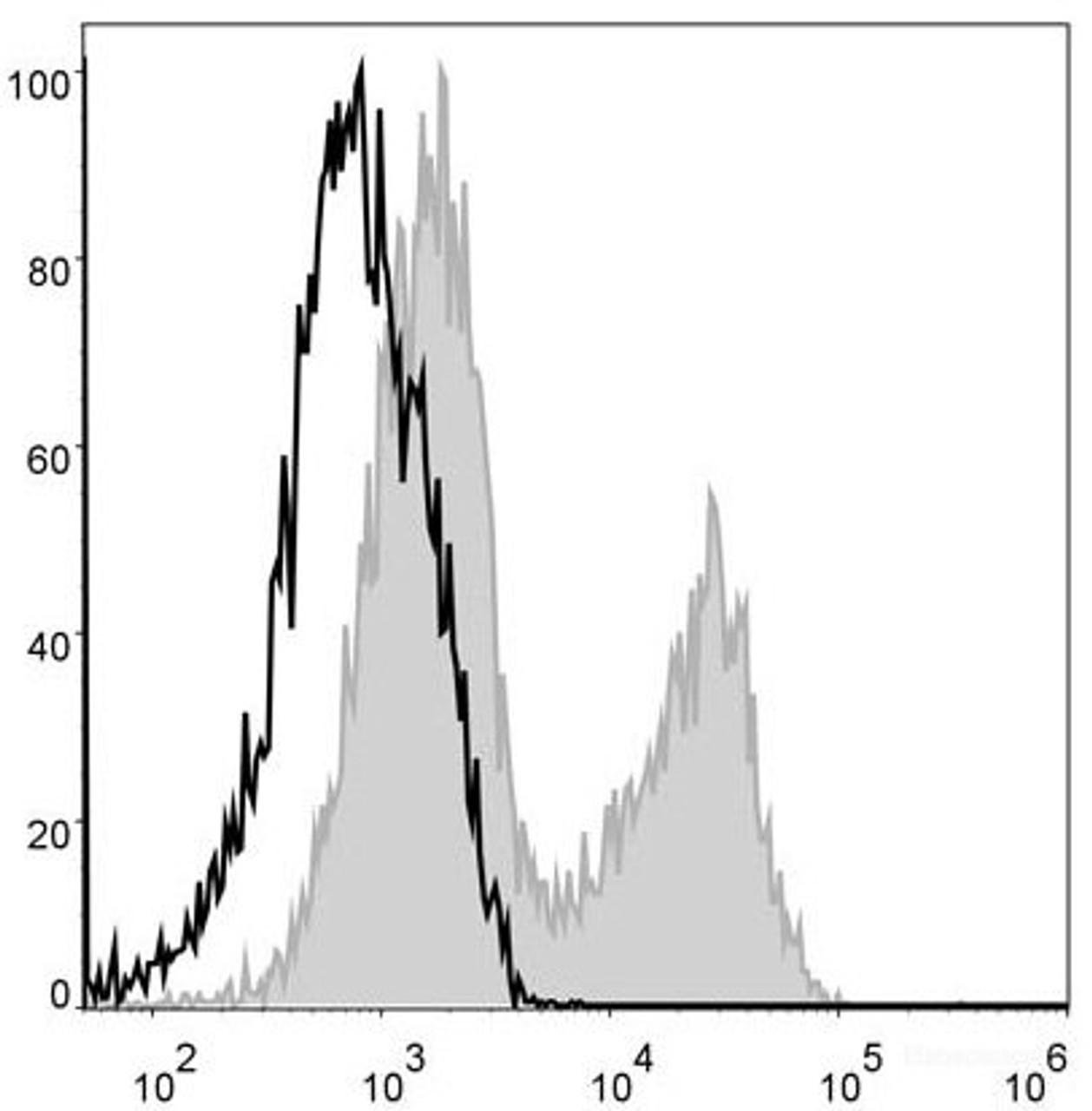 Mouse splenocytes are stained with PerCP Anti-Mouse MHC II (I-A/I-E) Antibody(filled gray histogram). Unstained splenocytes (blank black histogram) are used as control.