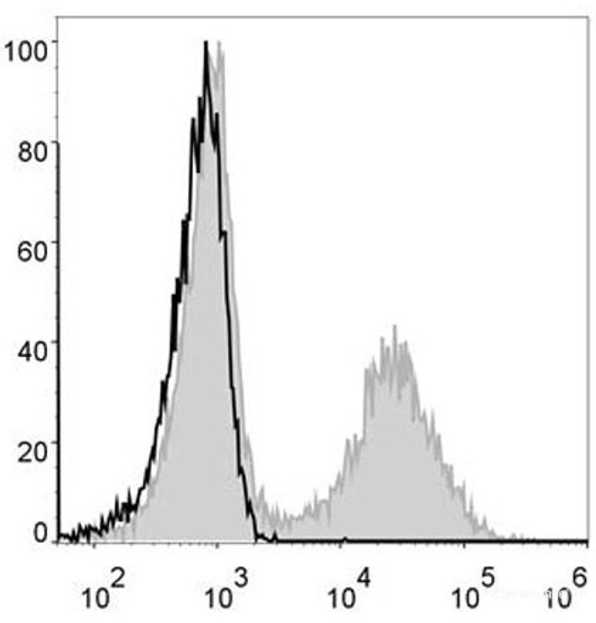 Mouse splenocytes are stained with AF488 Anti-Mouse MHC II (I-A/I-E) Antibody[Used at .2 μg/1<sup>6</sup> cells dilution](filled gray histogram). Unstained splenocytes (blank black histogram) are used as control.
