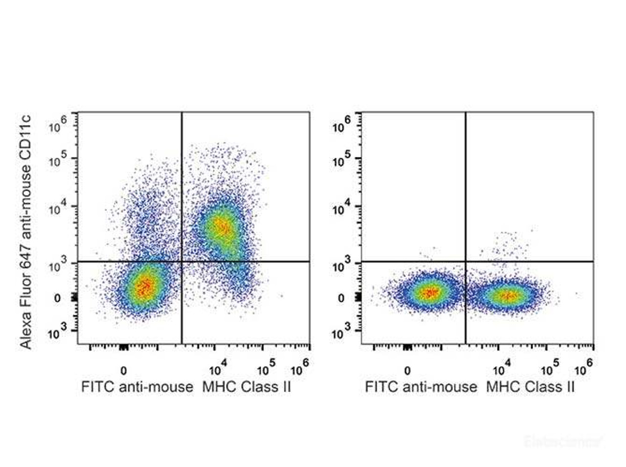 C57BL/6 murine splenocytes are stained with AF647 Anti-Mouse CD11c Antibody and FITC Anti-Mouse MHC II (I-A/I-E) Antibody(Left). Splenocytes stained with FITC Anti-Mouse MHC II (I-A/I-E) Antibody(Right) are used as control.