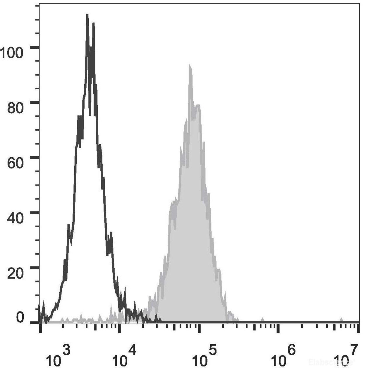 Mouse abdominal macrophages elicited by starch broth are stained with FITC Anti-Mouse CD8 Monoclonal Antibody(filled gray histogram). Unstained macrophages (blank black histogram) are used as control.