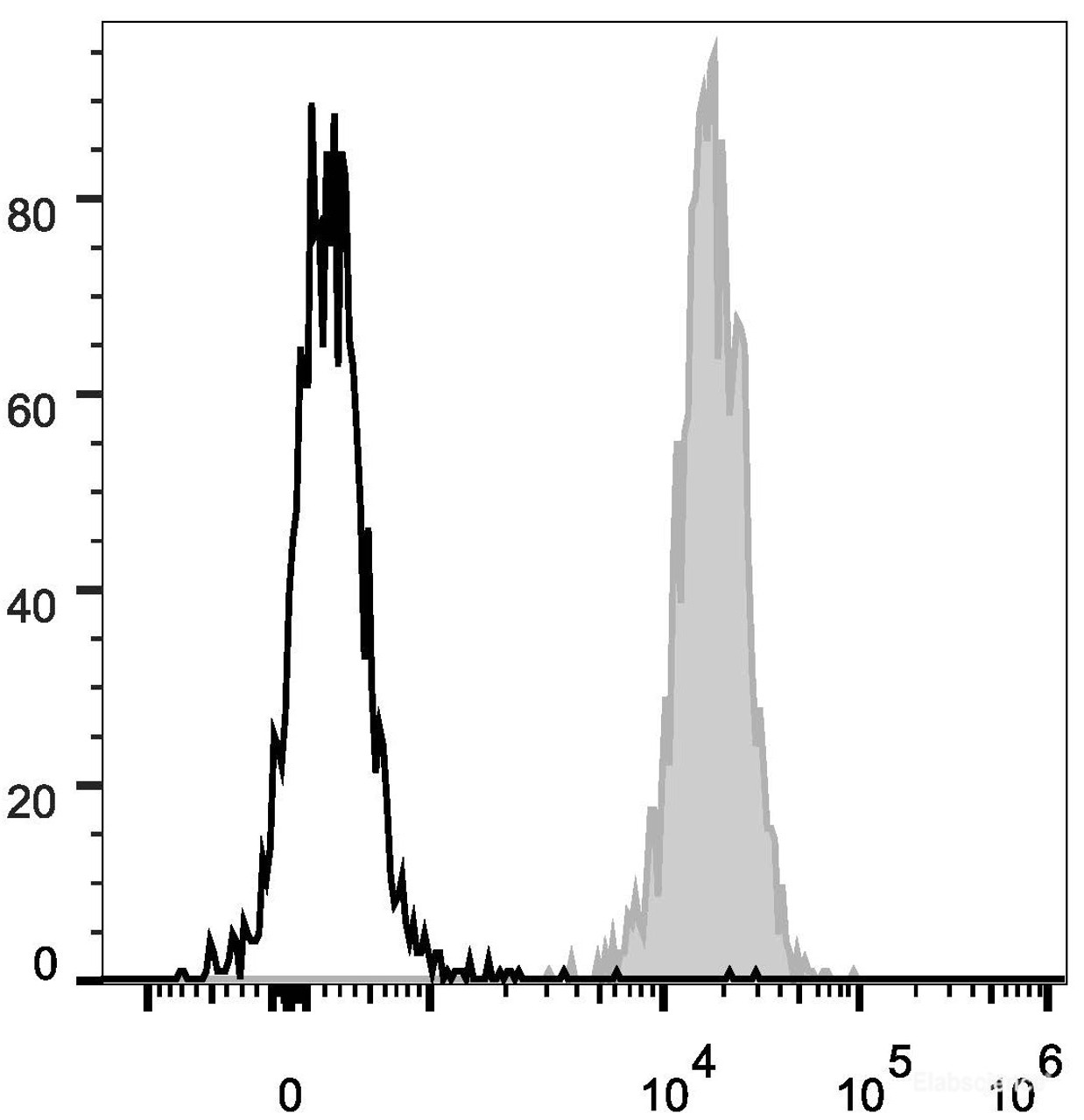 C57BL/6 murine splenocytes are stained with PE Anti-Human/Mouse/Rat CD47 Antibody(filled gray histogram). Unstained splenocytes (empty black histogram) are used as control.