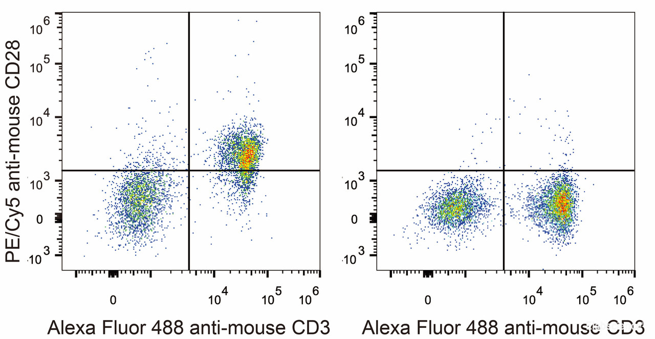 C57BL/6 murine splenocytes are stained with PE/Cyanine5 Anti-Mouse CD28 Antibody[Used at .2 μg/1<sup>6</sup> cells dilution] and AF488 Anti-Mouse CD3 Antibody. Splenocytes stained with AF488 Anti-Mouse CD3 Antibody(Right) are used as control.