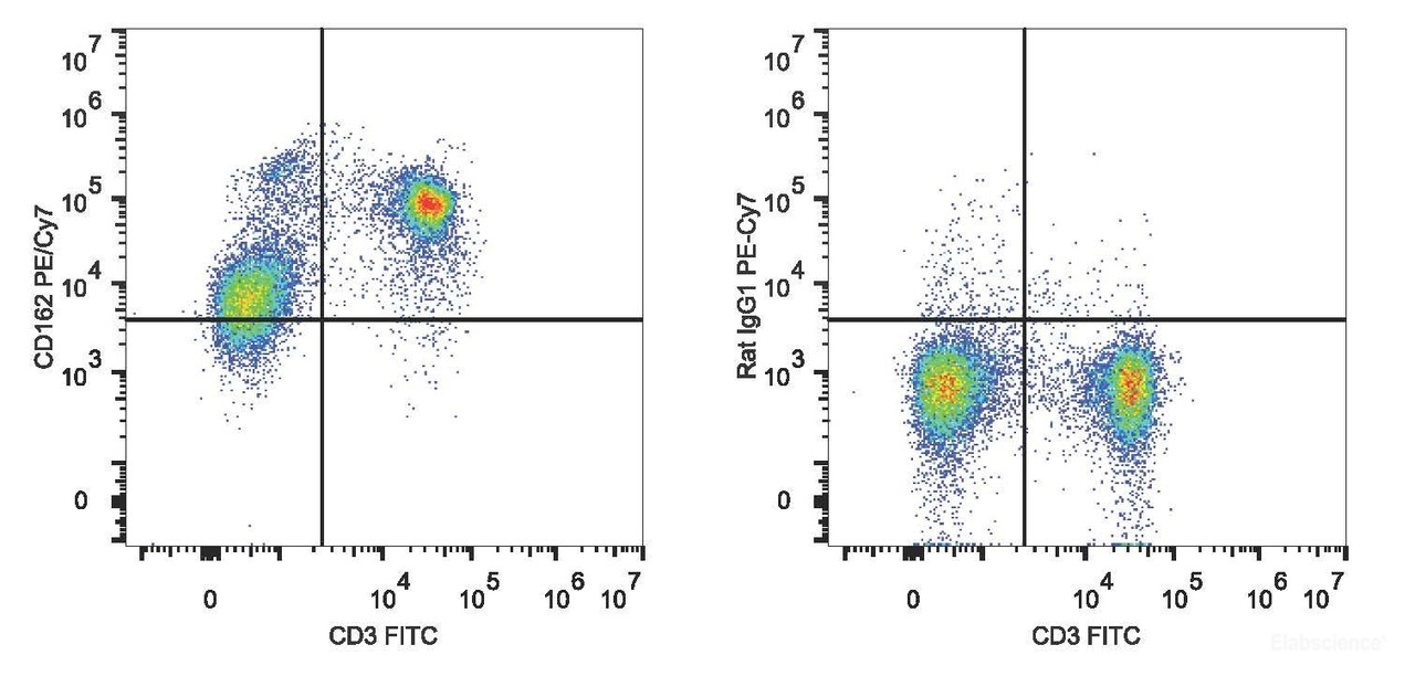 C57BL/6 murine splenocytes are stained with PE/Cyanine7 Anti-Mouse CD162 Antibody and FITC Anti-Mouse CD3 Antibody(Left). Splenocytes stained with FITC Anti-Mouse CD3 Antibody and PE/Cyanine7 Rat IgG1 Isotype Control(Right) are used as control.