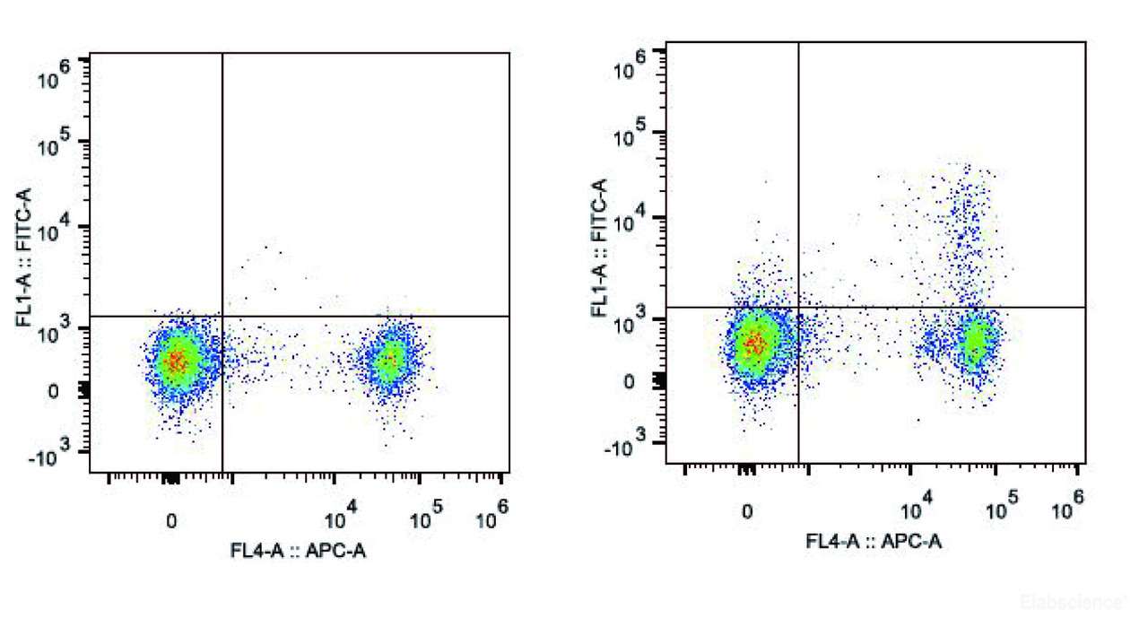 C57BL/6 murine splenocytes are stained with FITC Anti-Mouse CD25 Antibody[Used at .2 μg/1<sup>6</sup> cells dilution] and APC Anti-Mouse CD4 Antibody(Right). Splenocytes stained with APC Anti-Mouse CD4 Antibody are used as control.