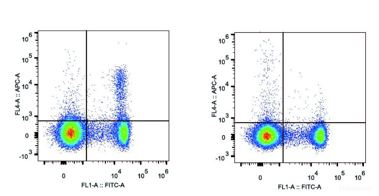 C57BL/6 murine splenocytes are stained with APC Anti-Mouse CD25 Antibody[Used at .2 μg/1<sup>6</sup> cells dilution] and FITC Anti-Mouse CD4 Antibody. Splenocytes stained with FITC Anti-Mouse CD4 Antibody and APC Rat IgG1 Isotype Control(Right) are used as control.