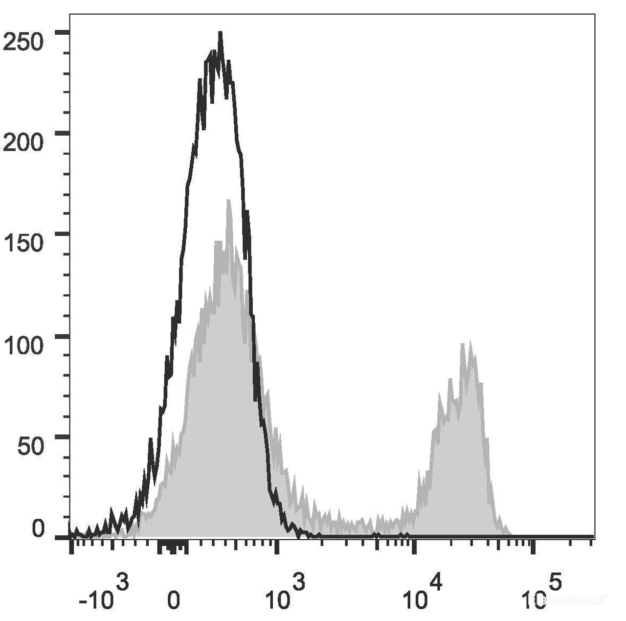 Rat splenocytes are stained with FITC Anti-Rat CD4(domain 1) Antibody Monoclonal Antibody(FITC [Used at .1 μg/1<sup>6</sup> cells dilution](filled gray histogram). Unstained splenocytes (empty black histogram) are used as control.