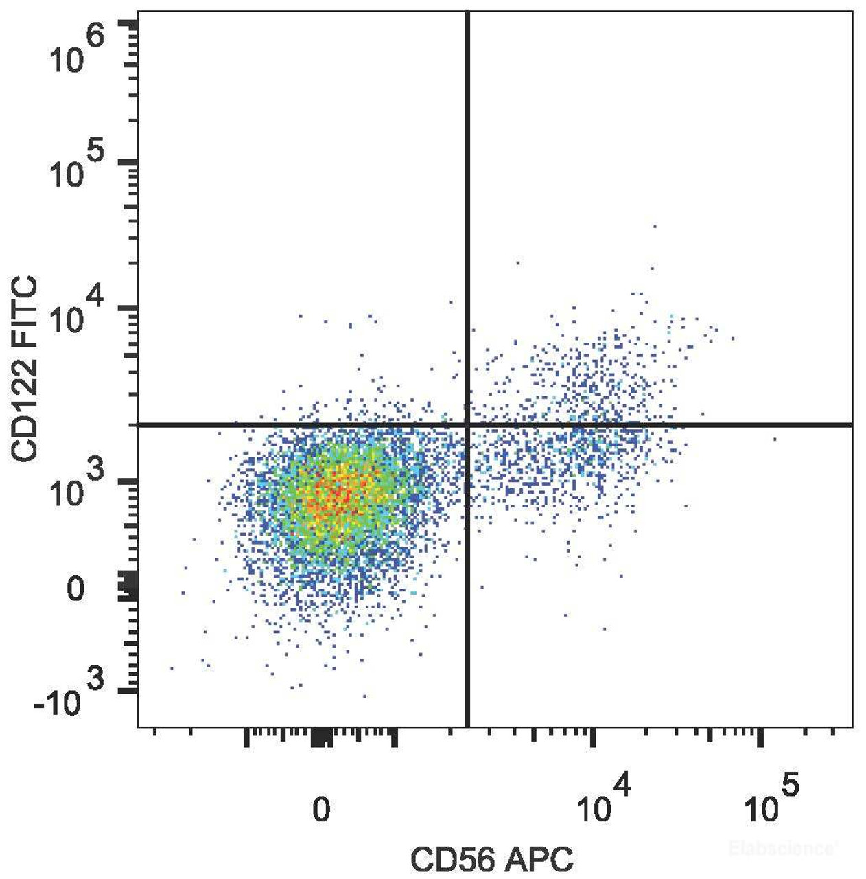 Human peripheral blood lymphocytes are stained with APC Anti-Human CD56 Antibody and FITC Anti-Human CD122 Antibody.