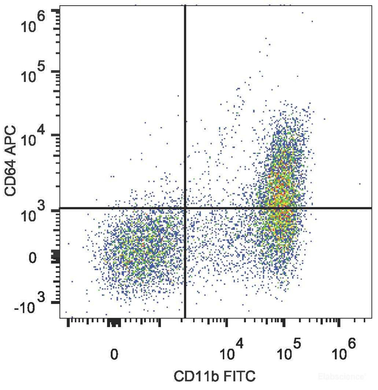 C57BL/6 murine bone marrow cells are stained with APC Anti-Mouse CD64 Antibody[Used at .2 μg/1<sup>6</sup> cells dilution] and FITC Anti-Mouse CD11b Antibody.