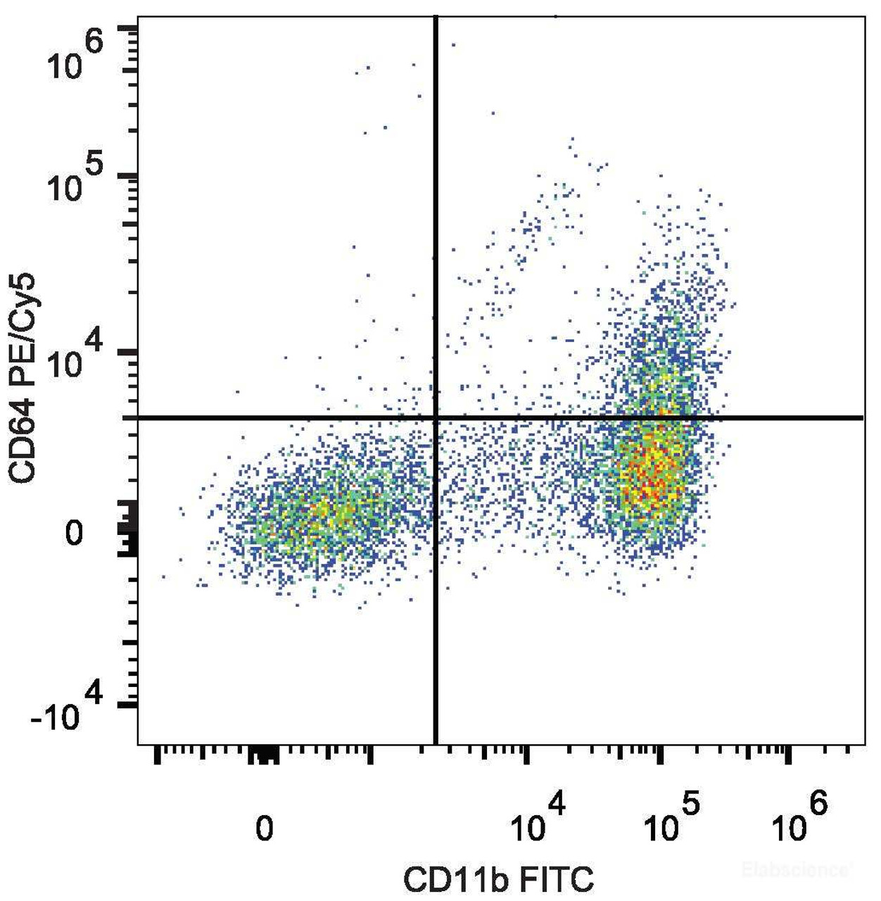 C57BL/6 murine bone marrow cells are stained with PE/Cyanine5 Anti-Mouse CD64 Antibody[Used at .2 μg/1<sup>6</sup> cells dilution] and FITC Anti-Mouse CD11b Antibody.