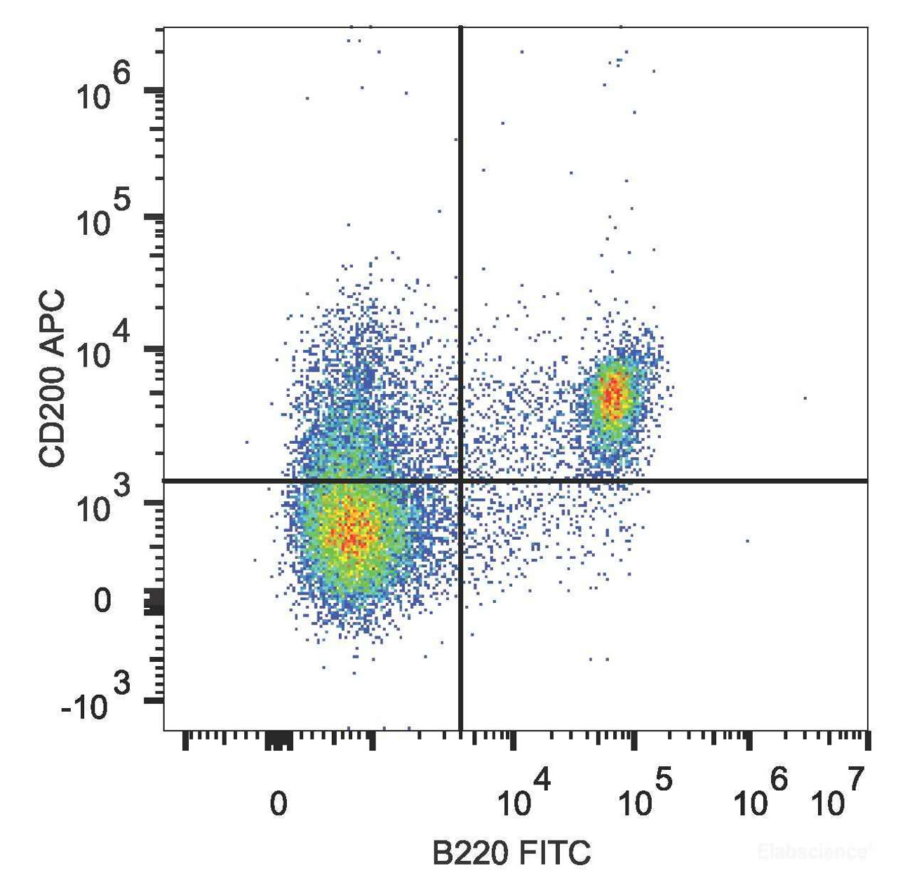 C57BL/6 murine splenocytes are stained with APC Anti-Mouse CD2 Antibody and FITC Anti-Mouse CD45R/B22 Antibody.