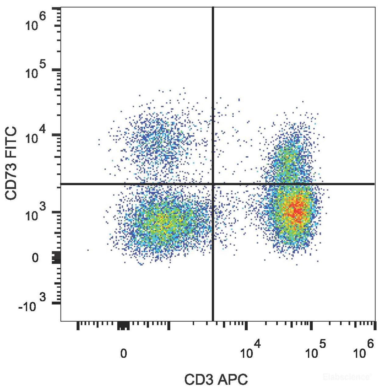 Human peripheral blood lymphocytes are stained with FITC Anti-Human CD73 Antibody and APC Anti-Human CD3 Antibody.