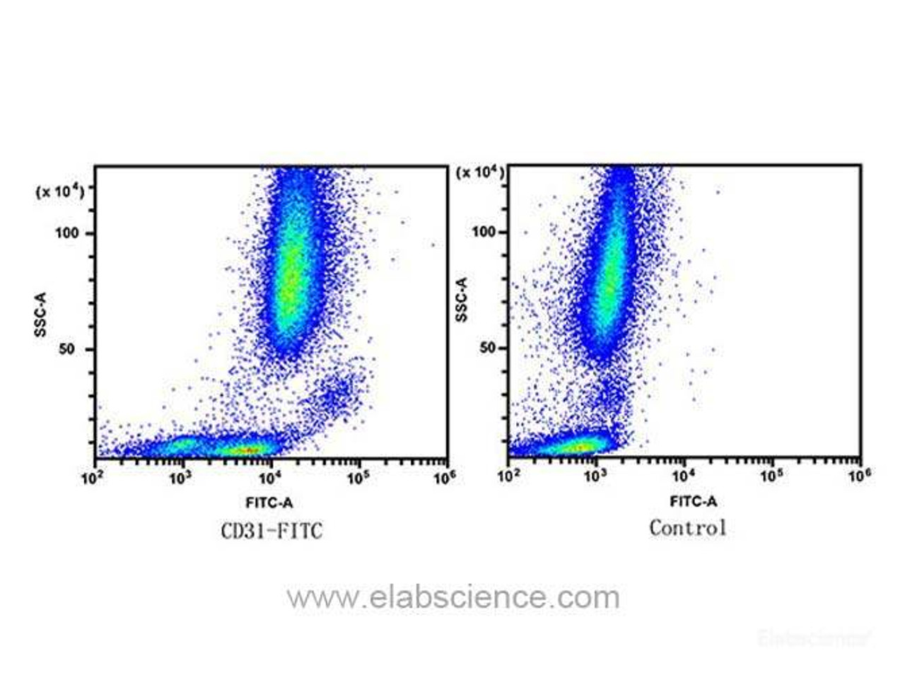 Human peripheral blood lymphocytes, monocytes and granulocytes are stained with Anti-Human CD31 Monoclonal Antibody(FITC Conjugated)(Left). human peripheral blood lymphocytes, monocytes and granulocytes are used as control(Right).