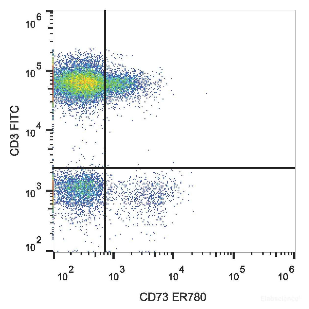 Human peripheral blood lymphocytes are stained with ER78 Anti-Human CD73 Antibody and FITC Anti-Human CD3 Antibody.