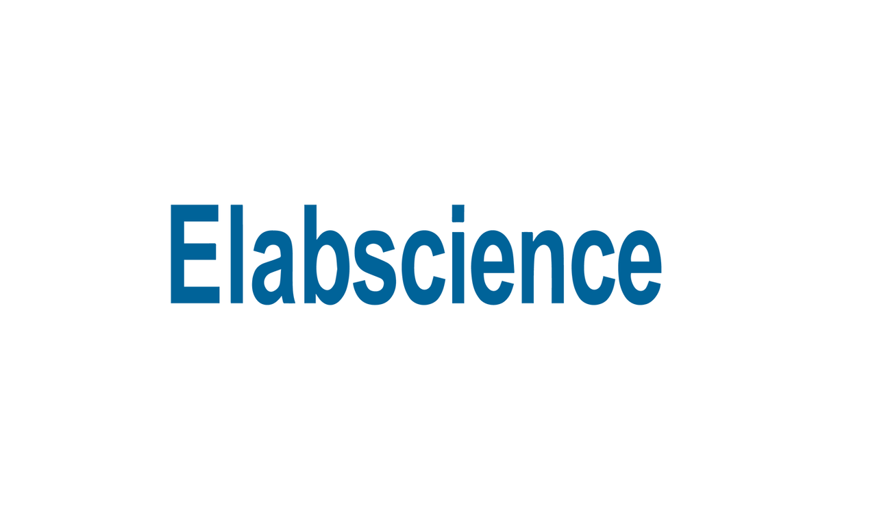 Mouse ERβ (Estrogen Receptor Beta) ELISA Kit