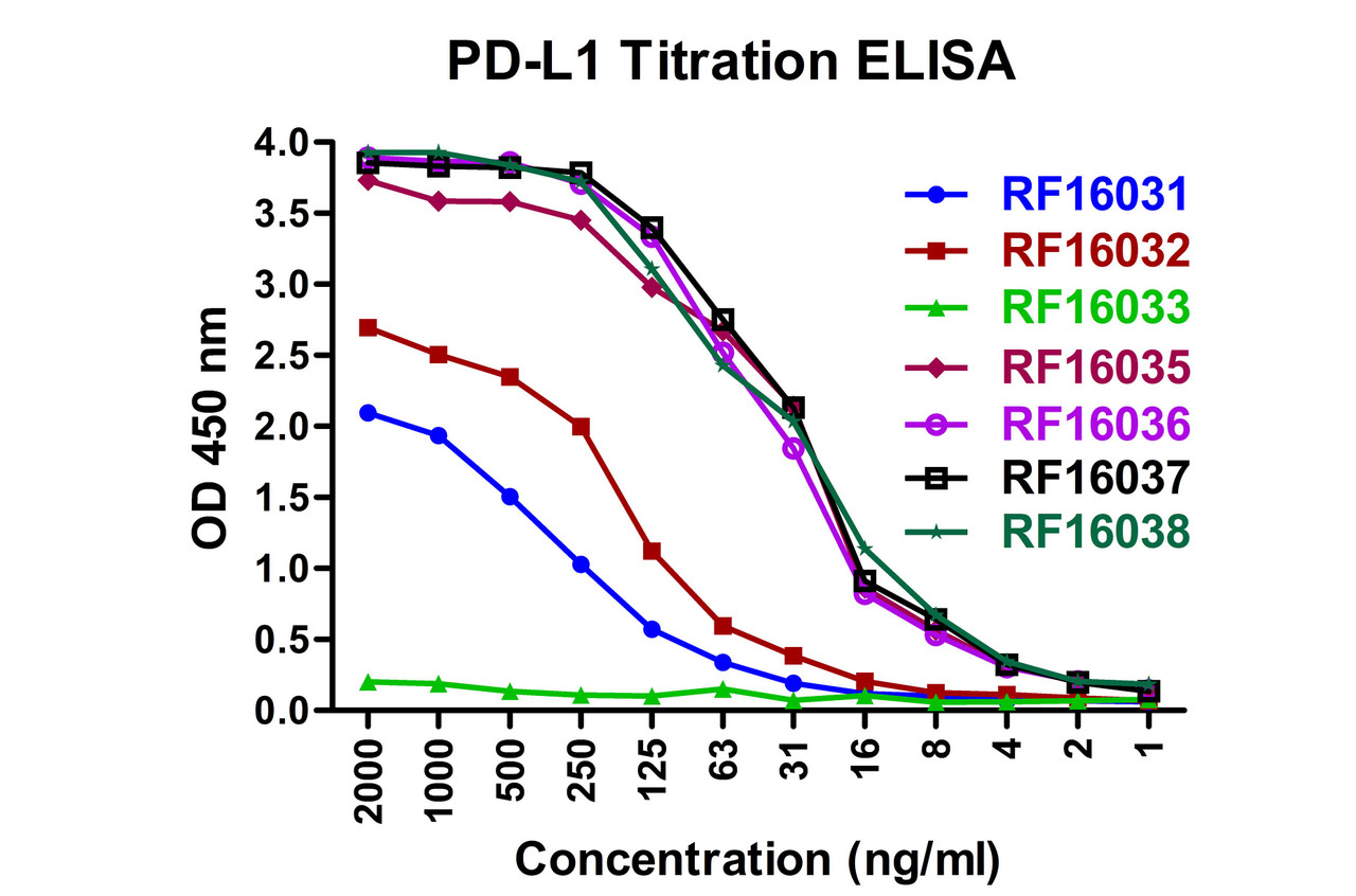 Titration curve analysis of PD-L1 mAbs to detect recombinant PD-L1 in ELISA with RF16031, RF16032, RF16033, RF16035, RF16036, RF16037, and RF16038 antibodies at decreasing concentrations.