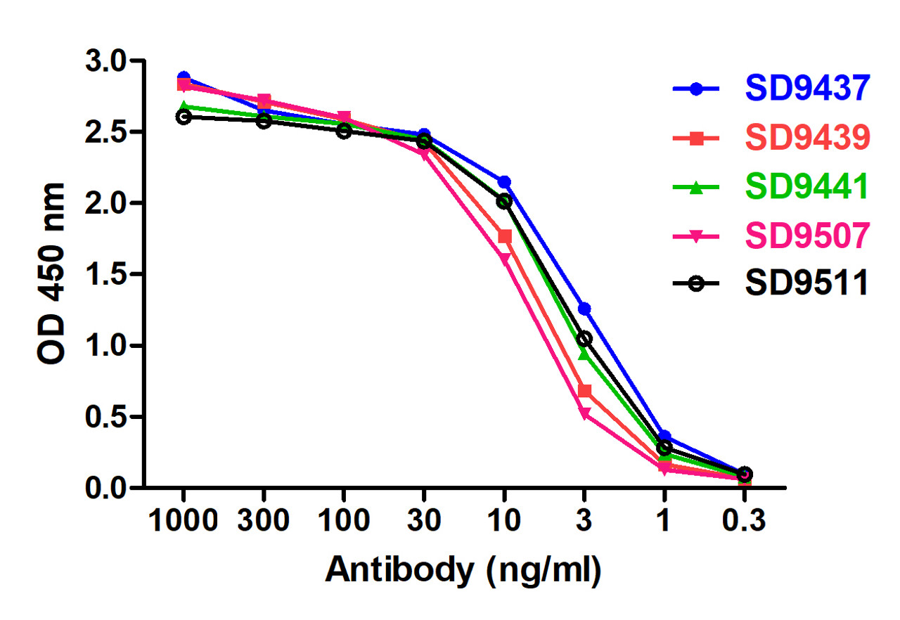 ELISA Validation with SARS-CoV-2 (COVID-19) Spike RBD Protein Antibodies: SARS-CoV-2 (COVID-19) Spike S1 RBD Antibodies. A direct ELISA was performed using SARS-CoV-2 Spike RBD recombinant protein (10-303) as coating antigen at 1 &#956;g/mL and each of the 6 anti-SARS-CoV-2 (COVID-19) Spike S1 RBD antibodies as the capture antibody, following by anti-cMyc-tag antibody (PM-7669) at 1 &#956;g/mL. Secondary: Goat anti-mouse IgG HRP conjugate at 1:5000 dilution. Detection range is from 0.3 ng/mL to 1000 ng/mL. SARS-CoV-