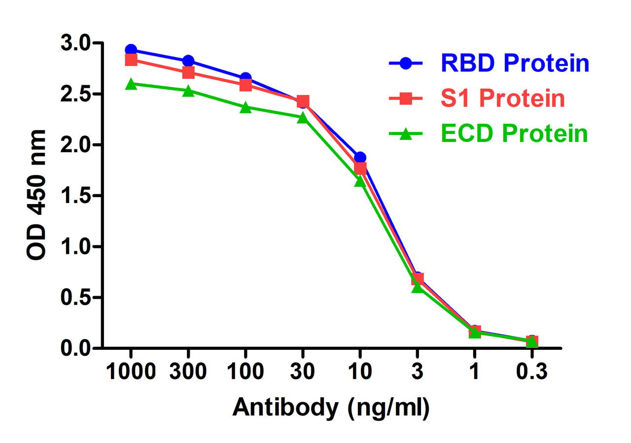 <strong>Figure 2 ELISA Validation with SARS-CoV-2 (COVID-19)  Spike RBD, S1 and ECD Proteins  </strong><br>Antibodies: SARS-CoV-2 (COVID-19) Spike S1 RBD Antibody, SD9439.  A direct ELISA was performed using SARS-CoV-2 Spike recombinant proteins (RBD, 10-303; S1, 97-087; ECD, 11-070) as coating antigen at 1 &#956;g/mL and the anti-SARS-CoV-2 (COVID-19) Spike S1 RBD antibody (SD9439) as the capture antibody, following by anti-cMyc-tag antibody (PM-7669) at 1 &#956;g/mL. Secondary: Goat anti-mouse IgG HRP conjugate at 1:5000 dilution. Detection range is from 0.3 ng/mL to 1000 ng/mL. SARS-CoV-2 (COVID-19) Spike S1 RBD Antibody, SD9439 can detect spike RBD, S1 and ECD proteins at 2 ng/mL.