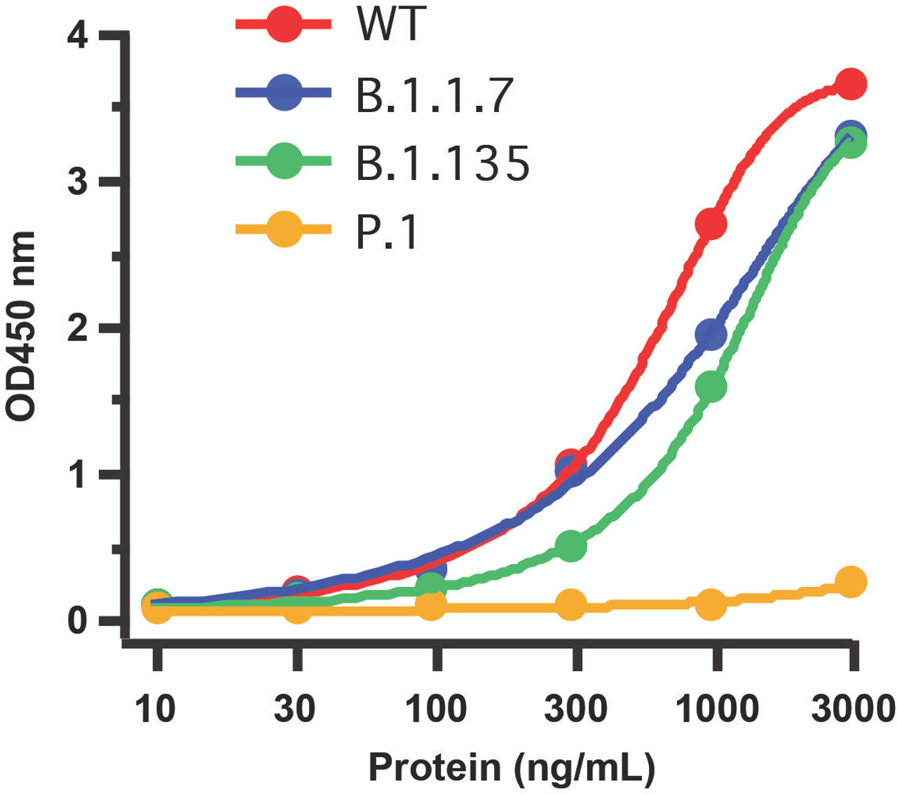Figure 1 Detection of SARS-CoV-2 Variant Proteins with Spike S1 Antibodies by Direct ELISA  
Coating Antigen: SARS-CoV-2 full length spike proteins, including WT, UK variant (B.1.1.7) , SA variant (B.1.135) and Brazil (P.1) . Dilution: 10-3000 ng/mL. Incubate at 4 &#730; C overnight.
Detection Antibodies: SARS-CoV-2 Spike S1 Antibody, 9083, 1 &#956;g/mL, incubate at RT for 1 hr.
Secondary Antibodies: Goat anti-rabbit HRP at 1:20, 000, incubate at RT for 1 hr.
Immunogen region of antibody (9083) includes sites 20T and 26P that were mutated in Brazil variant P.1.. Therefore, Spike S1 Antibody (9083) cannot detect P.1 variant. </strong>