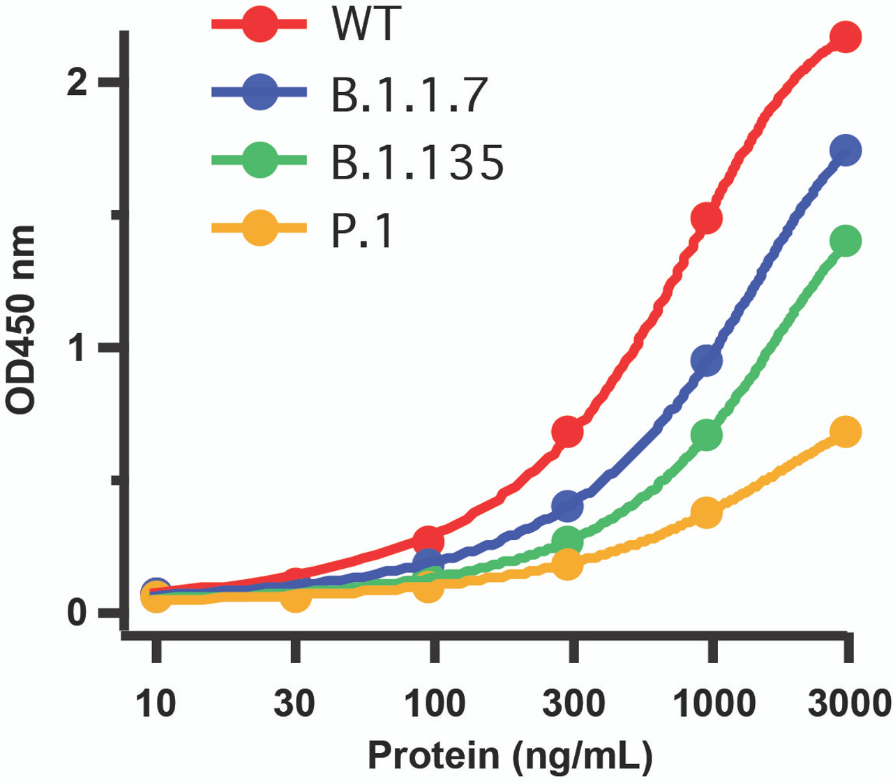 Figure 1 Detection of SARS-CoV-2 Variant Proteins with Spike RBD Antibodies by Direct ELISA 
Coating Antigen: SARS-CoV-2 full length spike proteins, including WT, UK variant (B.1.1.7) , SA variant (B.1.135) and Brazil (P.1) . Dilution: 10-3000 ng/mL. Incubate at 4 &#730;C overnight.
Detection Antibodies: SARS-CoV-2 Spike RBD Antibody, 9087, 2 &#956;g/mL, incubate at RT for 1 hr.
Secondary Antibodies: Goat anti-rabbit HRP at 1:20, 000, incubate at RT for 1 hr.
Immunogen region of antibody (9087) includes site 501N that was mutated in all three variants. 9087 has low binding affinity for all three variants as compared to WT. </strong>