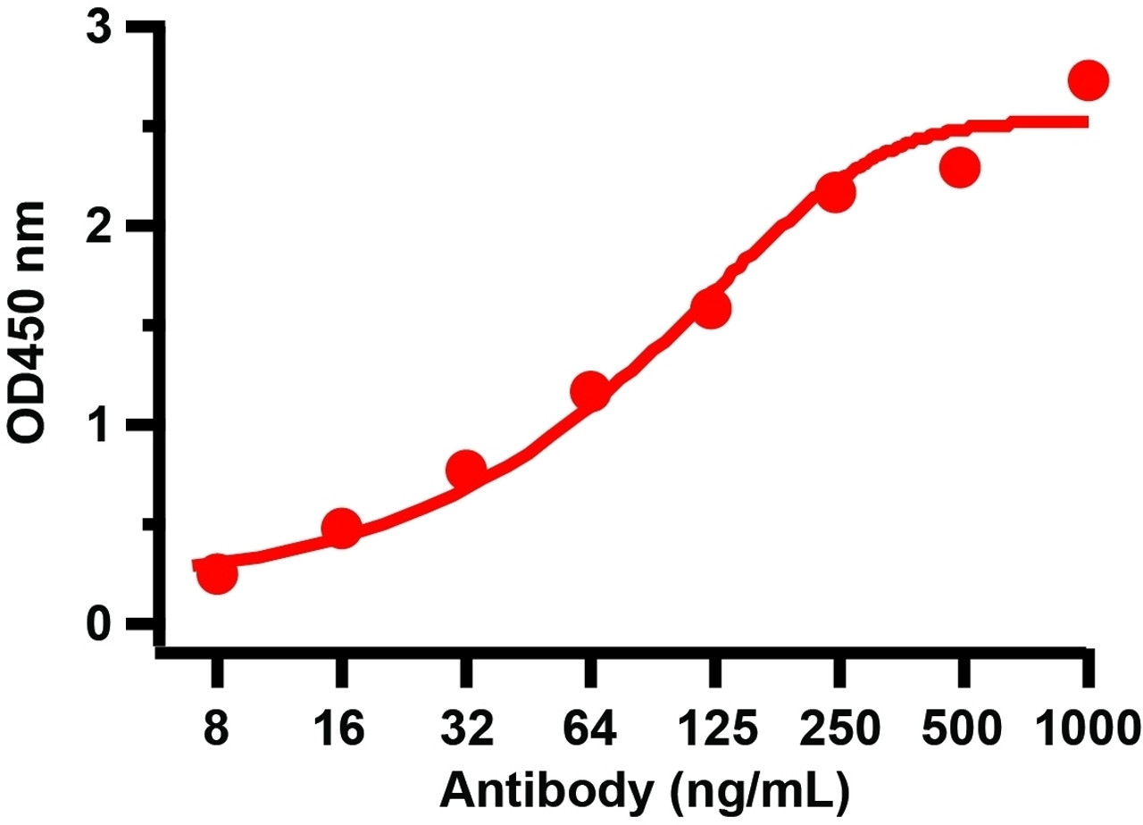 Figure 2 ELISA Validation with SARS-CoV-2 (COVID-19) Spike S2 ECD Recombinant ProteinAntibodies: SARS-CoV-2 (COVID-19) Spike S2 antibody, 9123. A direct ELISA was performed using SARS-CoV-2 (COVID-19) Spike S2 ECD recombinant protein (10-115) as coating antigen and the anti-SARS-CoV-2 (COVID-19) Spike S2 antibody as the capture antibody. Secondary: Goat anti-rabbit IgG HRP conjugate at 1:20000 dilution. Detection range is from 8 ng/mL to 1000ng/mL.